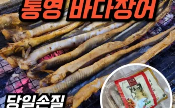 드뎌 구매했어요~ 국내산 자연산 바다장어 260g x 9팩  양념소스 10팩 구매한 이유