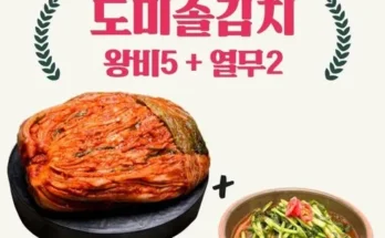 옆집에서 구매한 도미솔김치3종세트11kg  장단점 비교